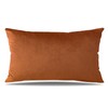 Artscope Luxury Velvet Cushion Covers Super Soft Decorative Throw Pillow