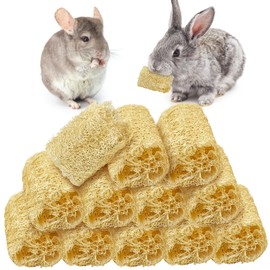BNOSDM Bunny Chew Toys Natural Loofah 12PCS Bunny Teeth Grinding Toy Rabbit Fiber-Rich Treats Pet Entertainment Accessories for Rabbits Chinchillas Guinea Pig（M）