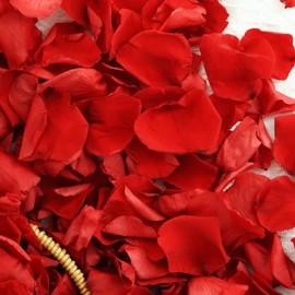 Koceko Dried Real Red Rose Petals, Preserved Flower Petals 1.75oz for Gifts Wedding Party Decor, Flower Girl, Dinner Table Centerpieces, Bridal Shower, Flower Confetti 50g