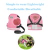Cat Harness and Leash for Walking, Kitten Escape Proof Harnesses,