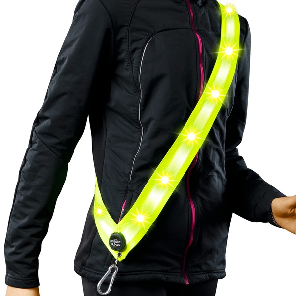 NordicFlows Rechargeable LED Reflective Lighted Vest for Night, Dog Lights