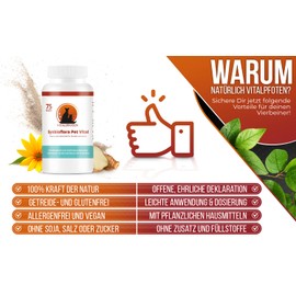 Vitalpfoten Synbioflora Pet Vital Probiotic for Dogs and Cats 75 g Sugar-Free Vegetable Formula for Intestinal Cleansing with High Concentration of Probiotic Bacteria