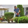 BLACK+DECKER Electric Hedge Trimmer, 17-Inch (BEHT150)