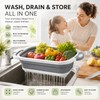 Collapsible Wash Basin for Kitchen & Travel – Foldable Plastic