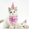 Suministros para Fiesta para Perro, Bandana de Cumpleaños para Perro,