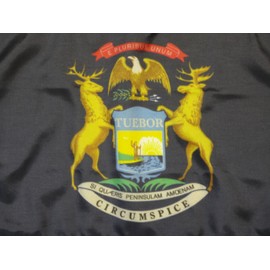 Annin Michigan State Flag