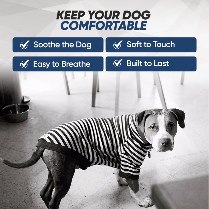 Tooth & Honey Big Dog Stripe Shirt Pullover Full Belly