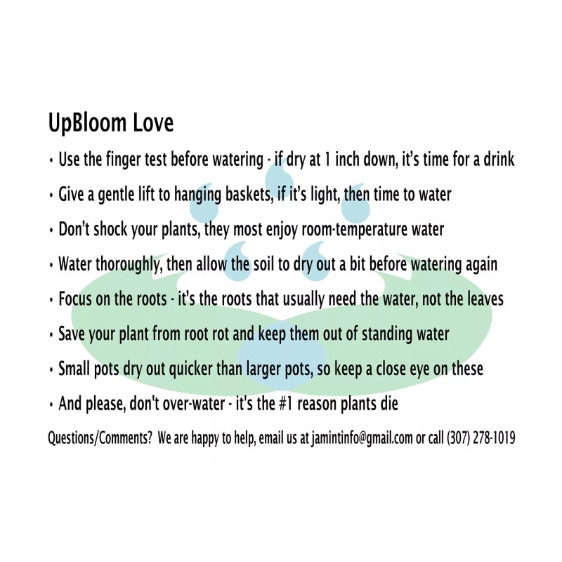 UpBloom Original UpBloom 32oz 1000 ml Plant Water Bottle for