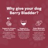 Buddy & Lola Berry Bladder | Advanced Bladder & Kidney