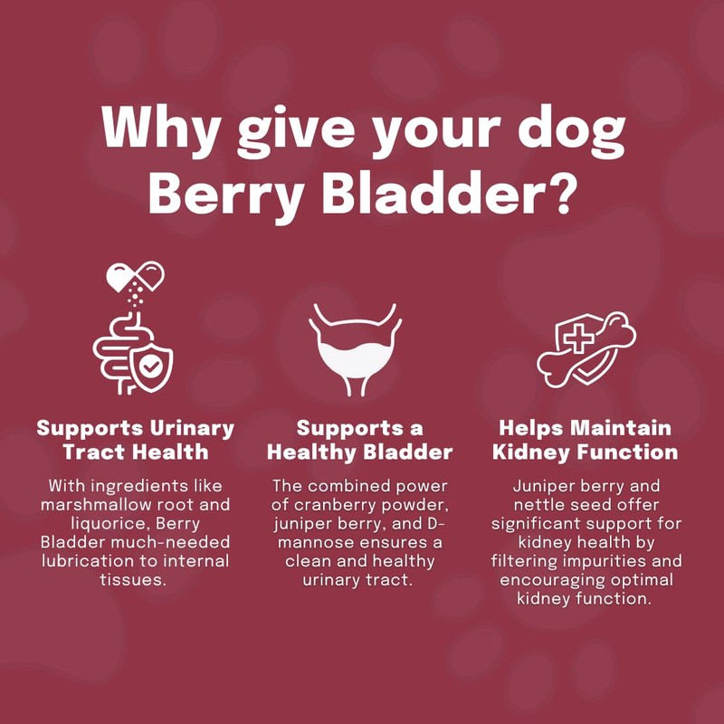 Buddy & Lola Berry Bladder | Advanced Bladder & Kidney