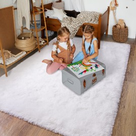 Dssimo Super Fluffy Area Rug for Bedroom, Modern Shag White Area Rugs, Soft Plush Small Carpet for Kids,Girls Boys and Teens Decorations for Living Room Dorm Nursery Classroom, 5x7 Feet