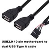 CybNemo USB 2.0 10 Pin Header to Dual USB Type