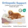 Orthopedic Foam Large Dog Bed XLarge Dog Beds with Removable