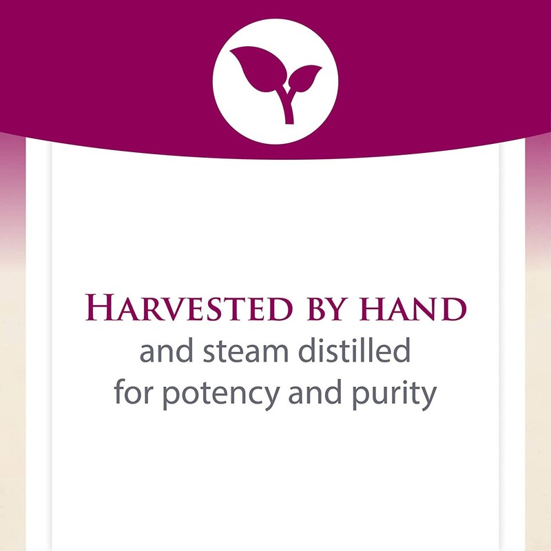 Natural Factors Organic Oil of Oregano 60 ml (60 ML)