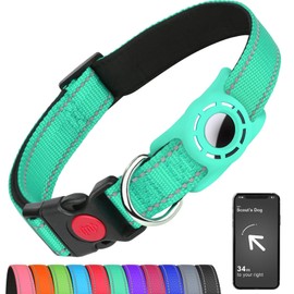 Erbine Airtag Dog Collar with AirTag Holder for Puppy Small Dogs, Reflective, Soft Padded & Safety Locking Buckle, Nylon Pet Collars Adjustable for All Breeds, Teal,XS
