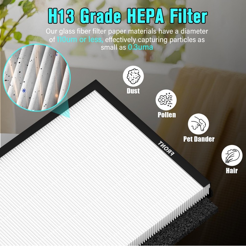 Replacement Filter Compatible with ECOSELF HAP603 Air Puri-Fier, 2-in-1 H13