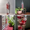 30cm Tall Free Standing Galileo Thermometer with seven red floating