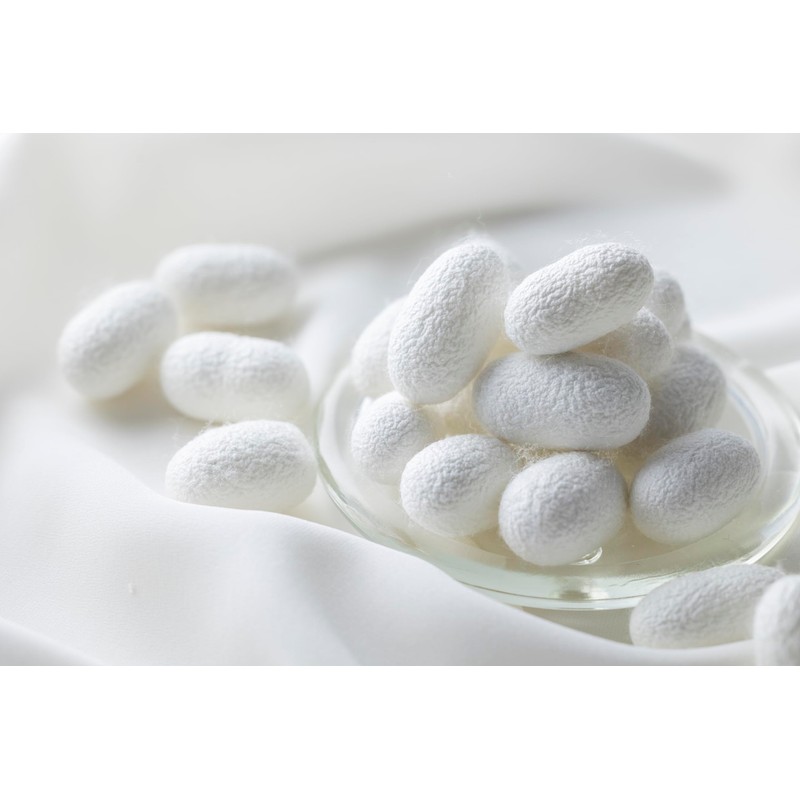 Kinumoyofu Mayu Shampoo