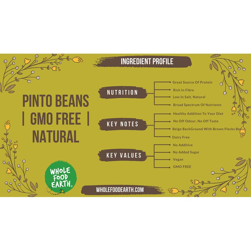 Whole Food Earth® - Pinto Beans 500 g | GMO