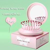 Trikeel Mini Folding Hair Brush with Mirror, Compact Pop up
