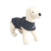 ALL FOR PAWS Clam Paws Calm Paws Anti Anxiety Dog