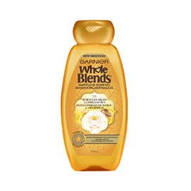 Garnier Whole Blends Shampoo with Moroccan Argan & Camellia Oils Extracts, 12.5 Fl Oz (Pack of 1)