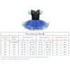 Dressy Daisy Ice Princess Ballet Tutu Dress for Baby Girls