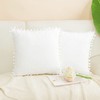 PiccoCasa Velvet Pillow Covers Throw Pillow Covers with Balls for