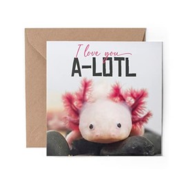 1 x Greeting Card - I Love You A-Lotl Axolotl Pun Joke Dragon Fish Animals Happy Birthday Sorry Love Mum Dad Girls Boys Friend #79756