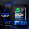 Creatina Monohidratada Micronizada 450g 90 Porciones Sin Sabor Amarte Labs