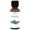 CosiMed Eucalyptus Oil 30 ml