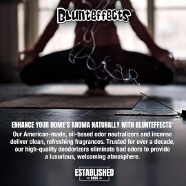 Blunteffects 10x Assorted Scents Blunt Effects Incense 10 PACKS 11" stick - 12 sticks /pack