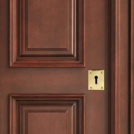 2X Solid Brass Rectangular Escutcheon (55mm x 43mm) Brushed Mid Century Modern Style Keyhole Cover