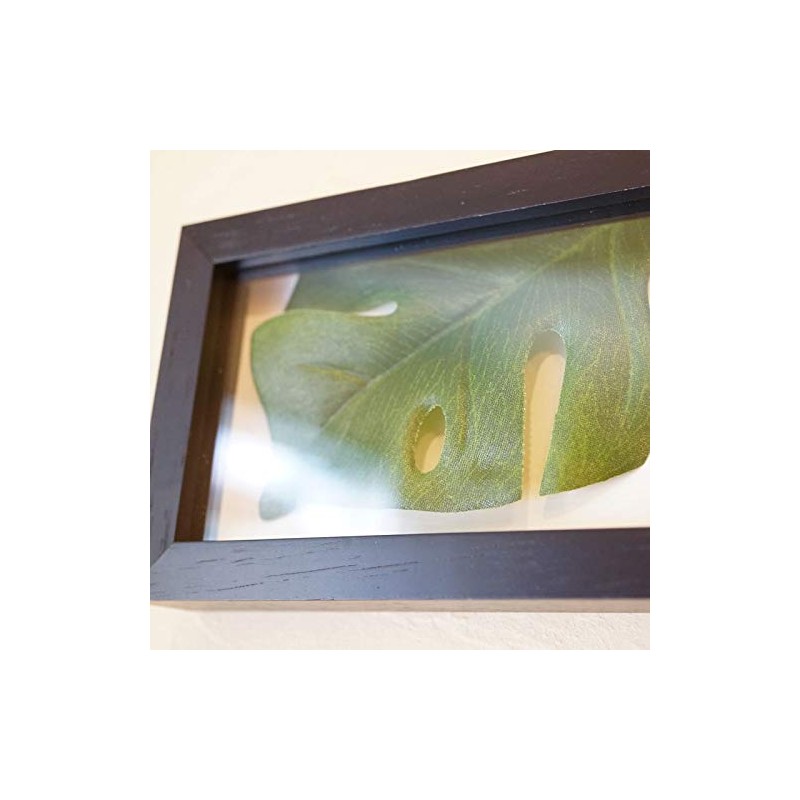 Monstera II Horizontal Black Leaf Frame Panel