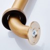 Shower Handle for Seniors Bath Handle Wall Handle Shower Handle