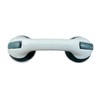 Super Economy Suction Grab Bar/Rail
