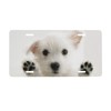 Westie Dog License Plate Frame for Car Universal, Aluminum Car