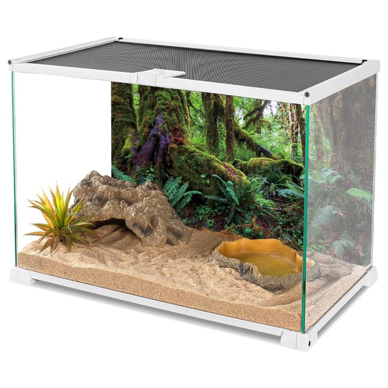 AWERT 48x24 inches Tropical Forest Terrarium Background Green Huge Tree