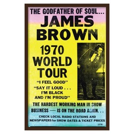 Fresh Prints of CT Showprint Concert Poster James Brown - 1970 World Tour
