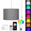 XINGZHI Plug in Hanging Lamp with RGB Smart Bulb Pendant