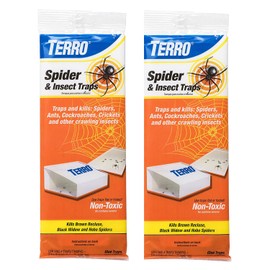 SPIDER INSECT TRAP 4PK