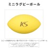 KOKUSAI Training Training Mini Rugby Ball