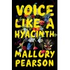 Voice Like a Hyacinth: A Novel