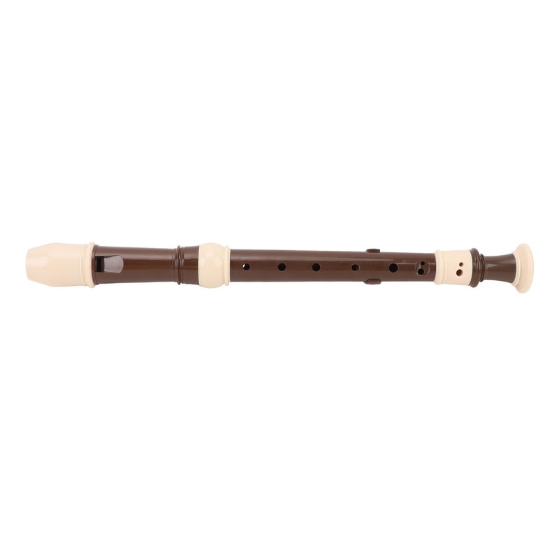 8 Hole Recorder Detachable Soprano Recorder Musical Instrument with Cleaning