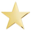 PinMart's Gold Star Pin Magnetic Back