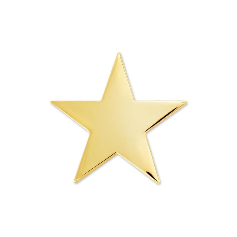 PinMart's Gold Star Pin Magnetic Back