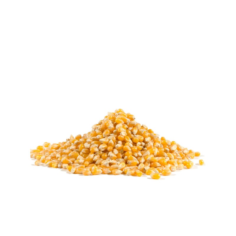 Bob's Red Mill Yellow Popcorn, 30oz (Pack of 1) -