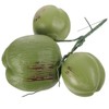 HOOTNEE 1 Bunch Artificial Coconut Fruits Photo Prop Hawaiian Coconut