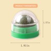 Dslcfjz Catnip Ball,Small Size,Natural Ingredient,Edible for Cats,Safe for Cats,Stress Reliever,Play