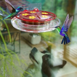 Nashibowu Window Hummingbird Feeder, Plastic Outdoor Window Bird Feeder with 5 Feeding Ports & Strong Self-Adhesive Hooks for Close-Up Viewing, Easy to Rinse & Refill, Birdwatching Gift & Window Decor